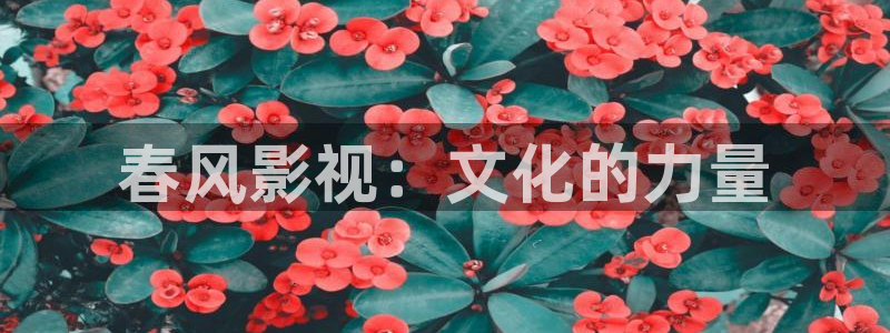 人人电影大全：春风影视：文化的力量