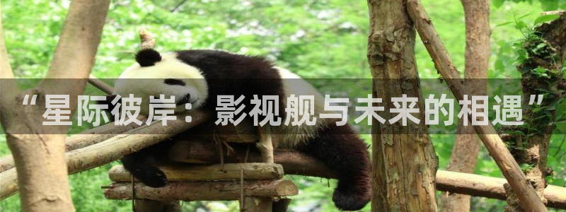 人人97视频：“星际彼岸：影视舰与未来的相遇”