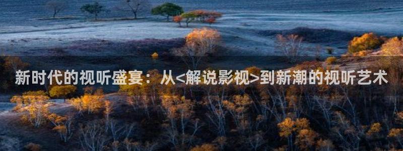 超级碰人人碰：新时代的视听盛宴：从<解说影视>到新潮的视听艺术
