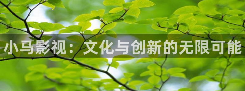 97久久人人超碰caoprom：小马影视：文化与创新的无限可能