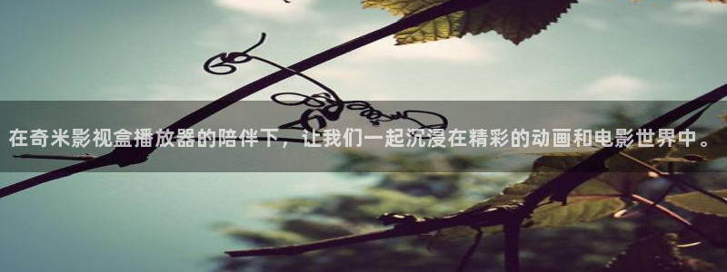 人人视频网页